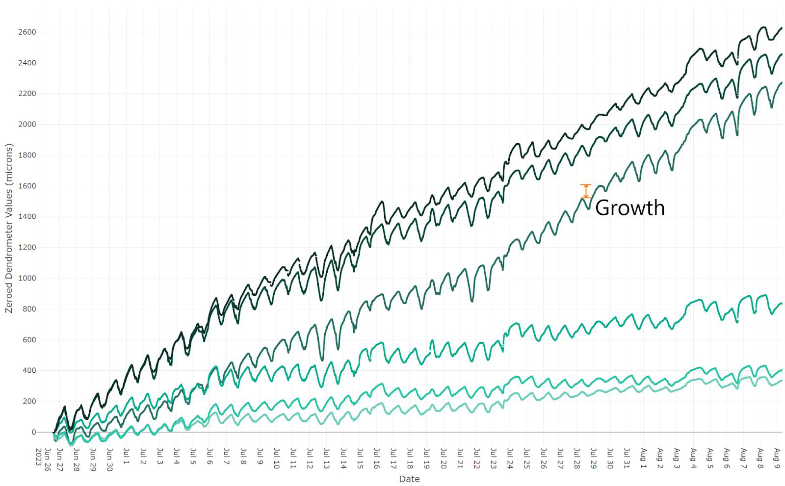 Graph of daily tree growth measured with a dendrometer